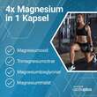 Activplus Magnesium-Komplex 4in1 400 mg Kapseln - 2