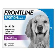 FRONTLINE SPOT ON Hund L L&ouml;sung 3 St