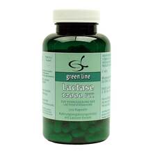 Lactase 12000 FCC Kapseln 120 St