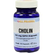 Cholin 100 mg GPH Kapseln 60 St