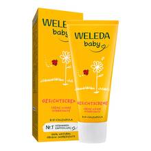  PZN 04416973 50 ml, Creme