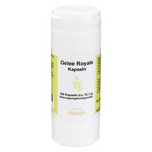  PZN 07324409 100 St, Kapseln