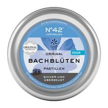  PZN 09074477 Pastillen, 50 g