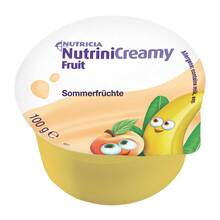 Abbildung: Nutrini Creamy Fruit Sommerfrüchte 48X100 g PZN 10356040