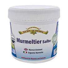 Murmeltier Salbe 110 ml