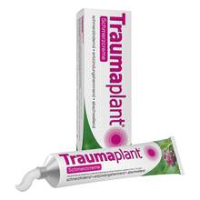 Abbildung: Traumaplant® Schmerzcreme 150 g, Creme PZN 12421161 