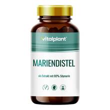 Mariendistel 300 mg Extrakt Vitalplant Kapseln 90 St