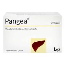 Pangea Kapseln 120 St