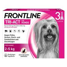 Abbildung: FRONTLINE TRI-ACT gegen Zecke, Floh und fliegende Insekten bei Hunden (2-5kg) 3 St, Lösung PZN 16359832 