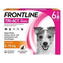 Abbildung: FRONTLINE TRI-ACT gegen Zecke, Floh und fliegende Insekten bei Hunden (5-10kg) 6 St, Lösung PZN 16359861 