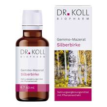 Abbildung: Gemmo-Mazerat Silberbirke Dr. Koll Betula alba Tropfen 50 ml, Tropfen PZN 20059886