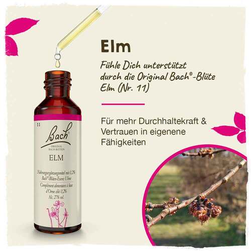 Bachbl&uuml;ten Nr. 11 Elm Tropfen - 2