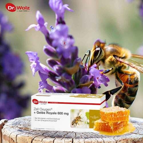 Zell Oxygen + Gelee Royale 600 mg Trinkampullen - 3