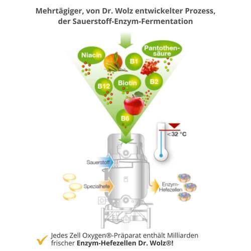 Zell Oxygen + Gelee Royale 600 mg Trinkampullen - 5