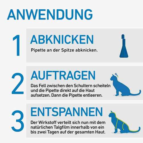 FRONTLINE SPOT ON Katze - 3