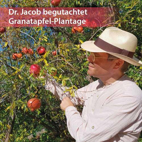 Granatapfel Elixier Dr. Jacob`s - 3