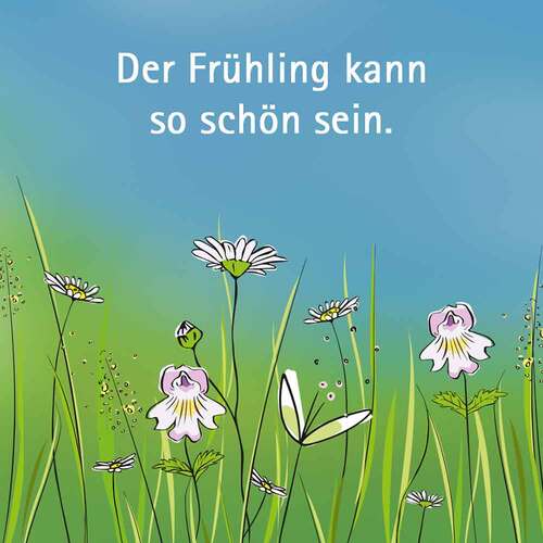 Euphrasia Augentropfen - 3