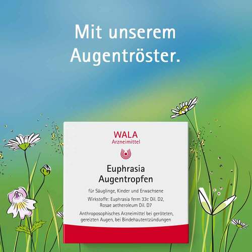 Euphrasia Augentropfen - 3