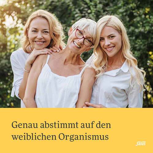 Salus Stilltee Bio Filterbeutel - 2