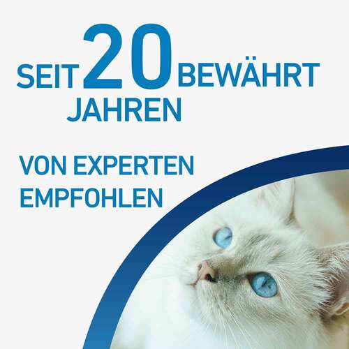 FRONTLINE SPOT ON Katze - 5