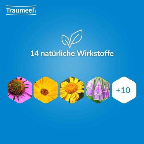 Traumeel S Mischung - 4