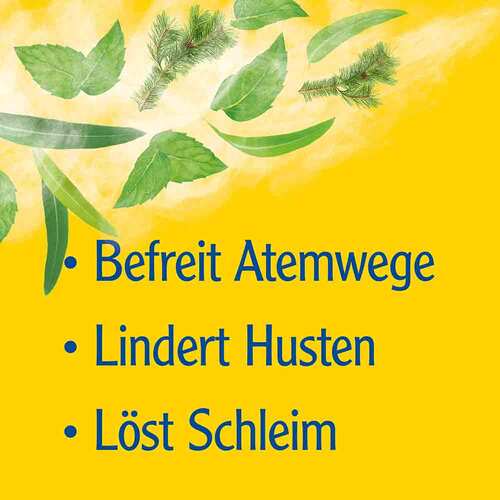 Pinimenthol® Erk&auml;ltungssalbe Eucalyptus&ouml;l Kiefernnadel&ouml;l Menthol - 4
