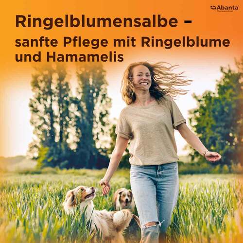 Ringelblumen Salbe - 7