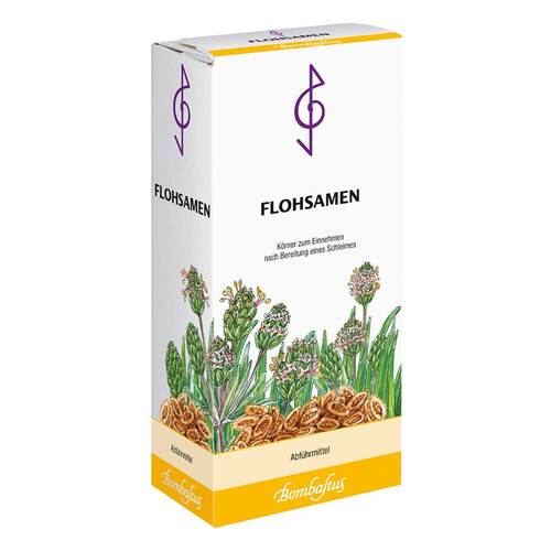 Flohsamen Kerne - 1