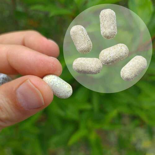 Melissen Basentabletten - 4