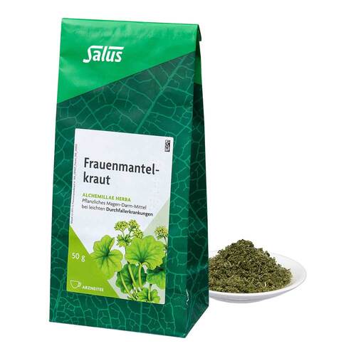 Frauenmantelkraut Arzneitee Alche. herba Salus - 1