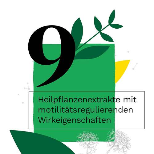 IBEROGAST Classic Fl&uuml;ssigkeit zum Einnehmen - 4