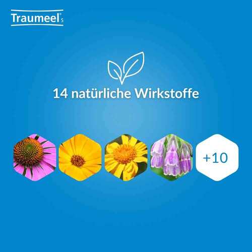 Traumeel® S Creme und Tabletten - 6