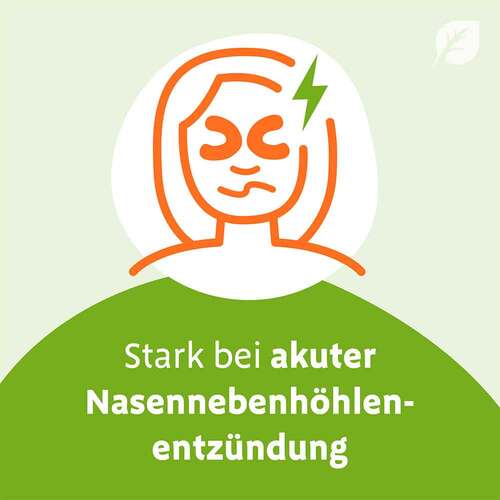 Sinupret eXtract Tabletten - 3