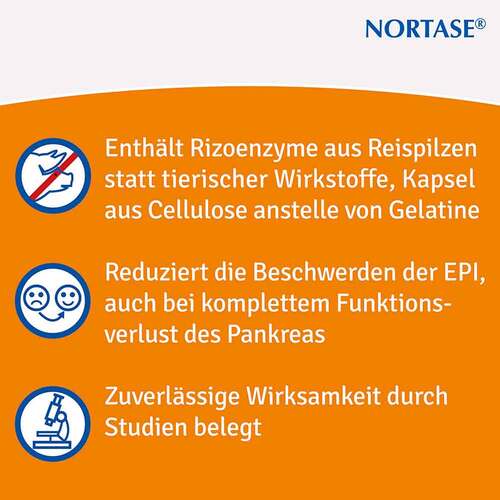 Nortase Kapseln - 4