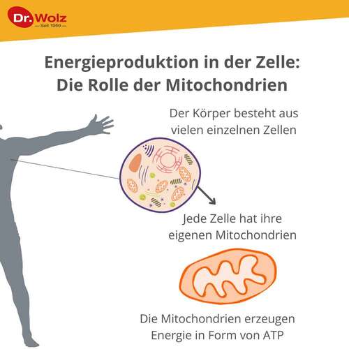 Zell Oxygen plus fl&uuml;ssig - 4