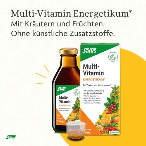 Multivitamin Energetikum Salus - 4