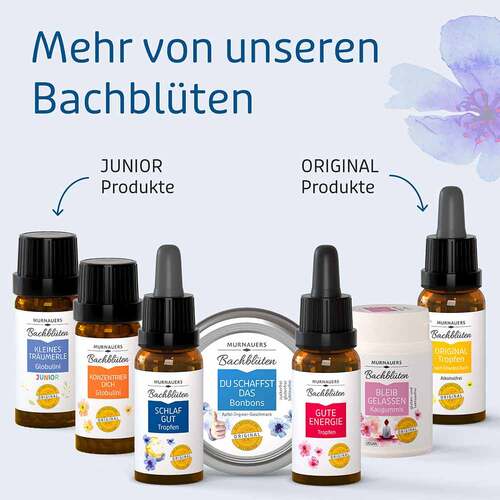 Bachbl&uuml;ten Murnauers Tropfen Schlaf Gut - 4