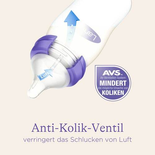 Lansinoh Glas Weithalsflasche 240 ml mit Sauger M - 6