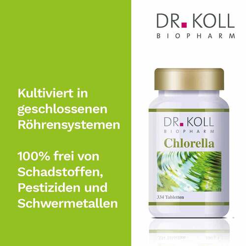 Chlorella Dr. Koll Tabletten - 2