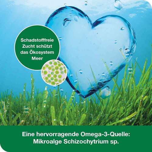 OMEGA3-Loges pflanzlich Kapseln - 5