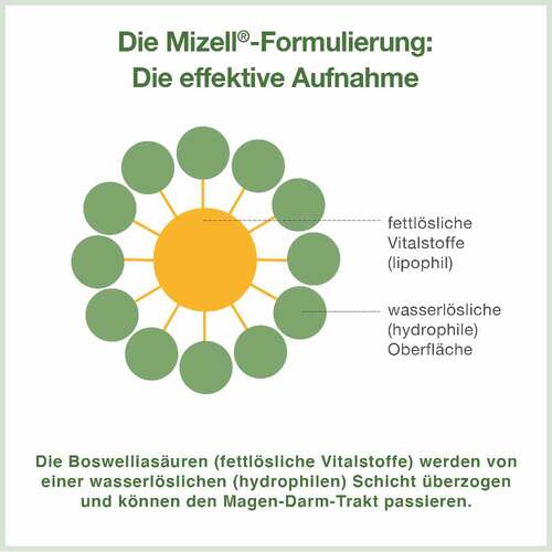 Bewelia Plus Weichkapseln - 4