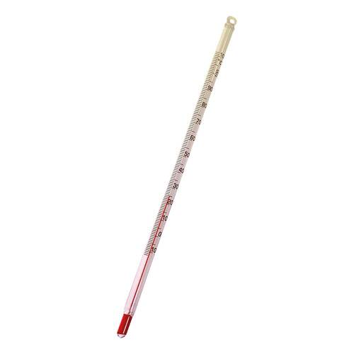 Thermometer 10 - 100° C 20 cm lang - 1