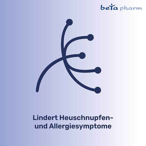 Cetirizin beta Filmtabletten bei Allergien - 2