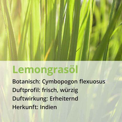 Zitronengras Lemongras &Ouml;l naturrein &auml;therisch - 4