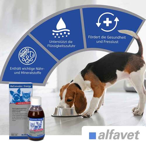 Reconvales Energy Di&auml;t-Erg.Futterm.f&uuml;r kl.Hund / Katze - 2