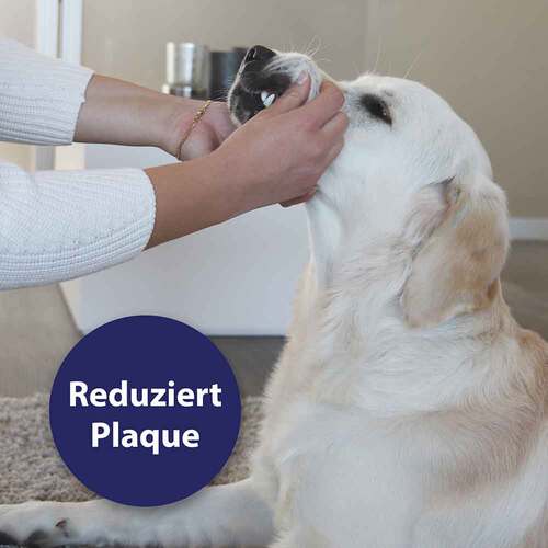 Canosept Zahnpflege Finger-Pads f&uuml;r Hunde - 3