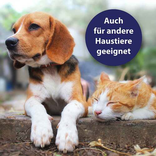 Canosept Hautpflege Spray f&uuml;r Hunde - 3