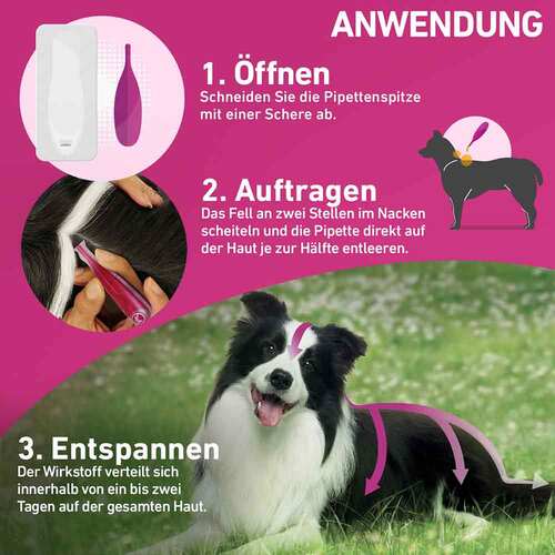 FRONTLINE TRI-ACT gegen Zecke, Floh und fliegende Insekten bei Hunden (2-5kg) - 3