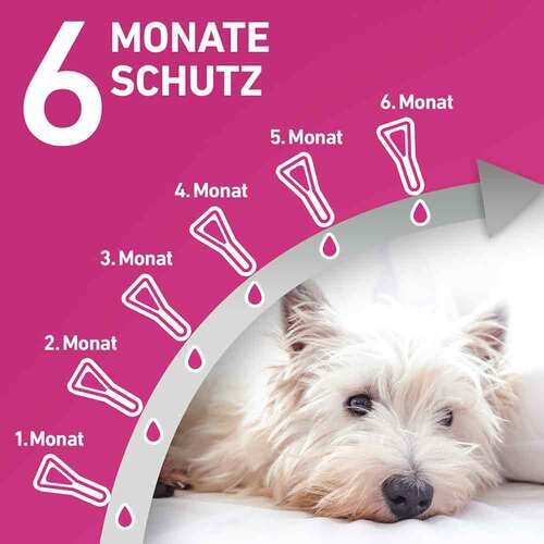 FRONTLINE TRI-ACT gegen Zecke, Floh und fliegende Insekten bei Hunden (5-10kg) - 4