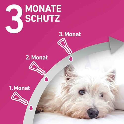 FRONTLINE TRI-ACT gegen Zecke, Floh und fliegende Insekten bei Hunden (10-20kg) - 4